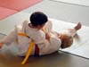 immobilisation4