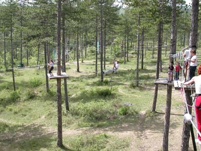 DSCN1715