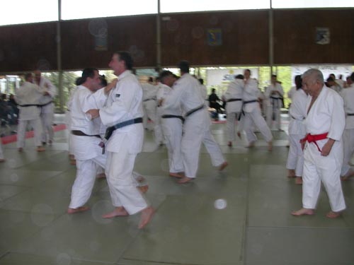 DSCN0213