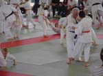 DSCN0192