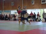 DSCN0221-1