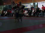 DSCN0228