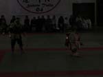 DSCN0229
