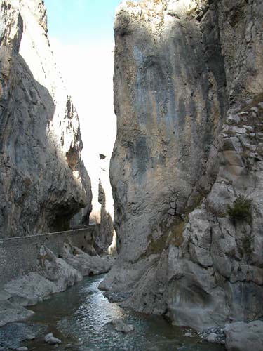 DSCN1283