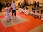 DSCN0642