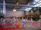 DSCN0547