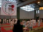 DSCN0549