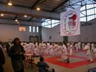 DSCN0550