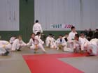 DSCN0554