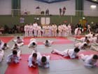 DSCN0567