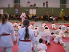 DSCN0568