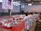 DSCN0569